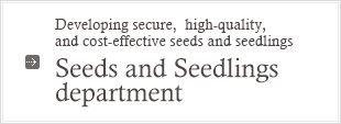 Developing secure,  high-quality, and cost-effective seeds and seedlings : Seeds and Seedlings department