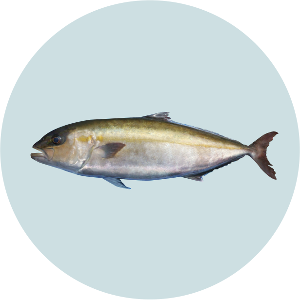 勘八