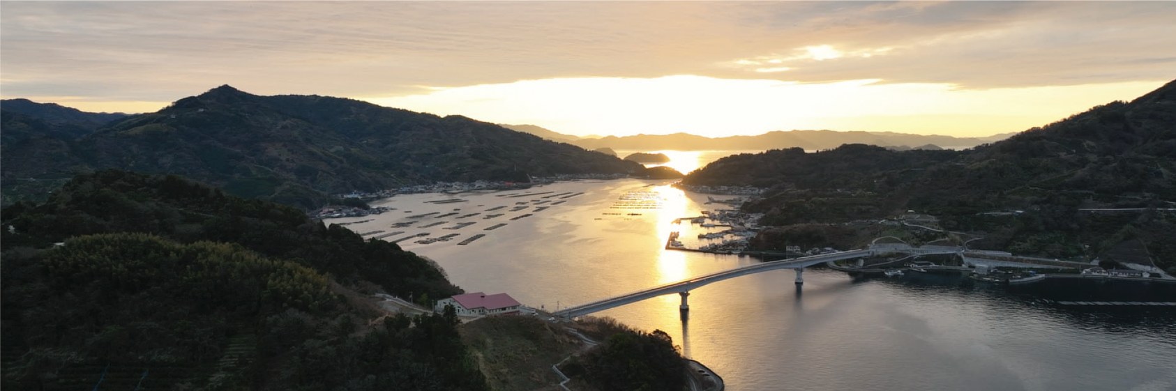 夕景の宇和島湾（イヨスイ各事業所のある地域）